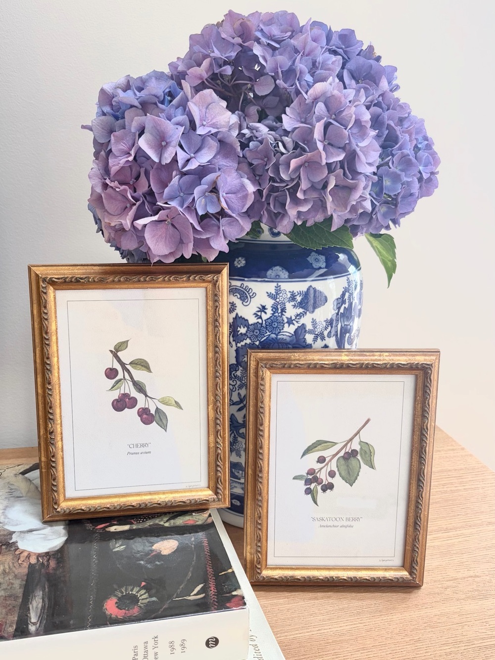 Vintage Botanical Prints in Gold Wood Frames